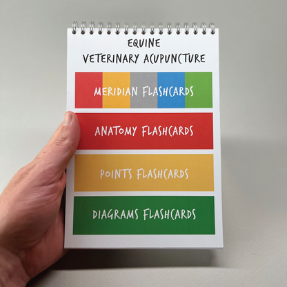 FLASHCARDS TOP